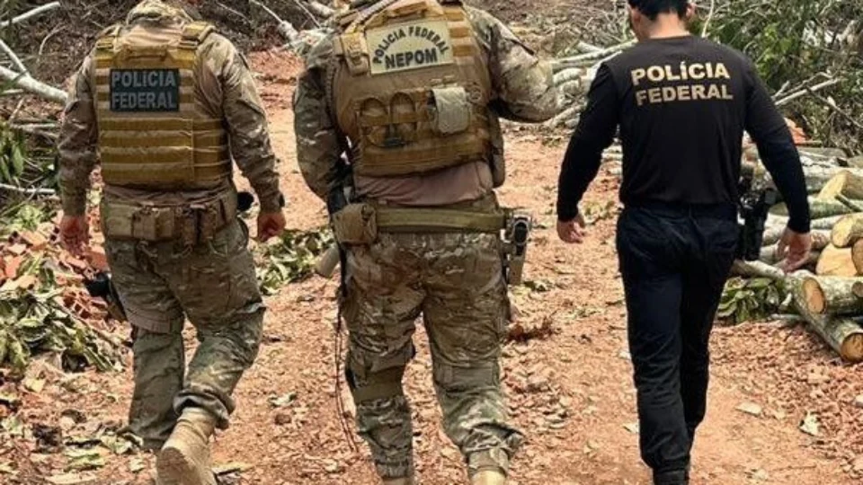 Homem é preso em flagrante por transporte de madeira ilegal no AM