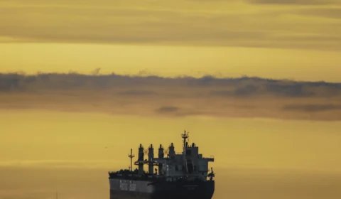 Navio com 16 mil animais é abandonado na costa da Austrália