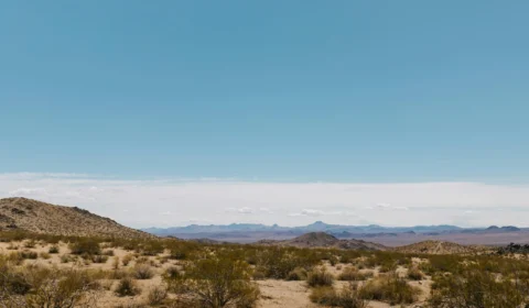 VÍDEO: seis pessoas são encontradas mortas em deserto da Califórnia