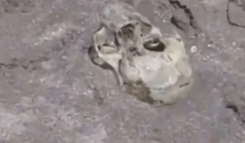 VÍDEO: crânio humano é encontrado por crianças em praia na Argentina