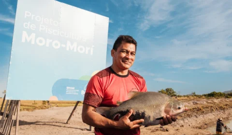 Tambaqui: comunidade indígena de Roraima produz quase 2 toneladas do peixe 