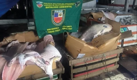 Quase 1,3 ton de pescado ilegal é apreendido na Panair em Manaus