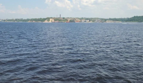 Rio Negro se aproxima da faixa de normalidade em Manaus, diz boletim