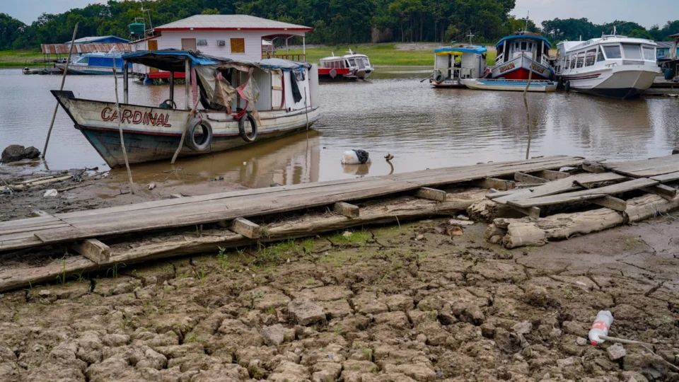 Seca no AM: confira último boletim da estiagem do ano de 2023