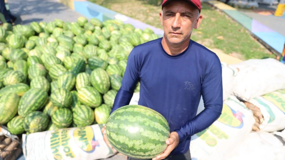 Programa Garantia Safra beneficia 397 agricultores familiares do AM em 2023