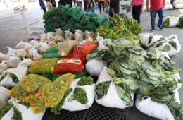 AM prorroga inscrições de Programa de Aquisição de Alimentos para indígenas