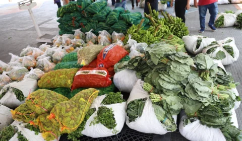 AM prorroga inscrições de Programa de Aquisição de Alimentos para indígenas