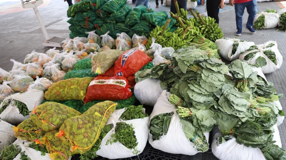 AM prorroga inscrições de Programa de Aquisição de Alimentos para indígenas