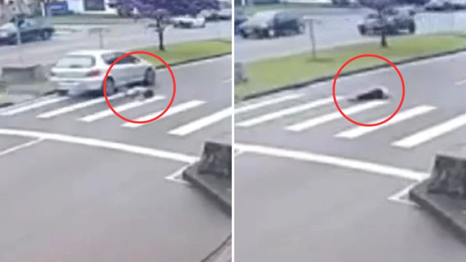 VÍDEO: idosa é atropelada, motorista foge e carros ‘passam reto’