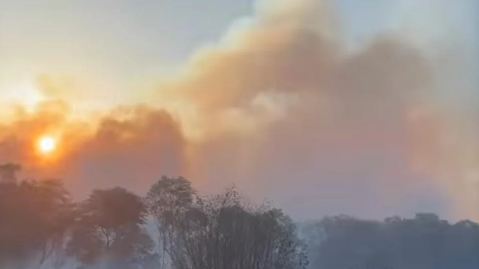 Incêndio atinge maior parque em área urbana do Nordeste