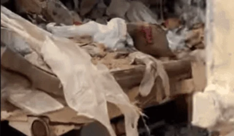 Prefeitura de Rio Preto da Eva diz que é falso lixo hospitalar de RR descartado no AM