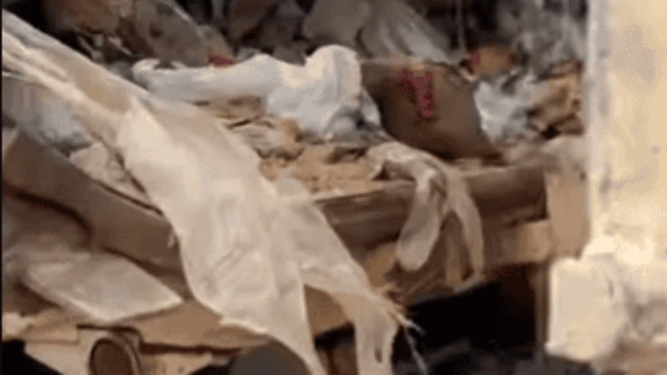 Prefeitura de Rio Preto da Eva diz que é falso lixo hospitalar de RR descartado no AM