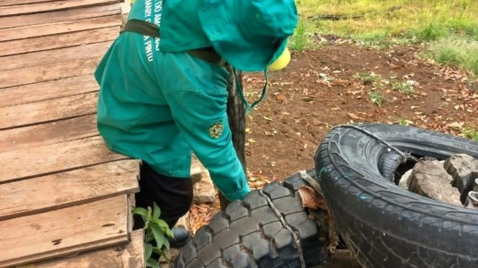 AM reforça vigilância para prevenção e controle de dengue, zika e chikungunya