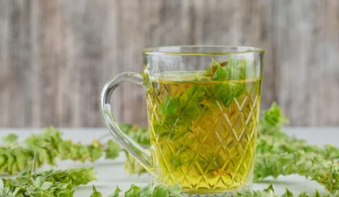 Chá de capim-cidró: quais os benefícios e como fazer?