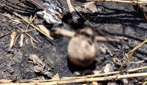 Ossada humana é encontrada por uma criança em Boa Vista – RR