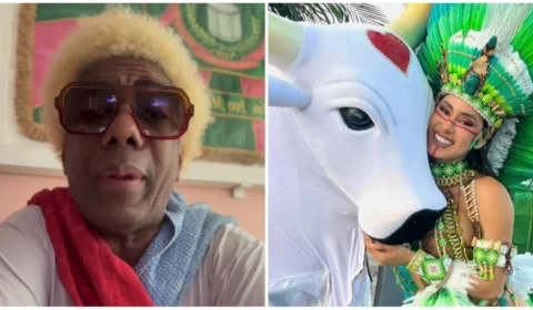 ‘Debochar do boi-bumbá é debochar do Brasil’, diz Ivo Meirelles