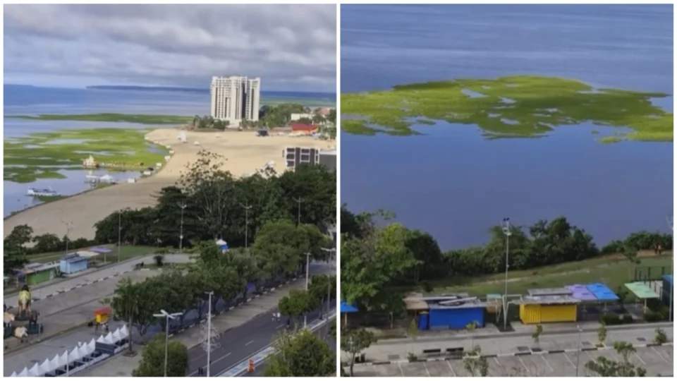‘Ilhas de capim’ chamam atenção na praia da Ponta Negra, em Manaus; entenda