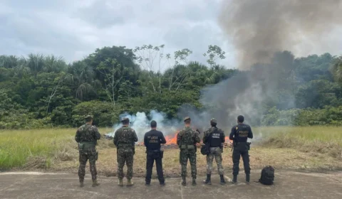 PF e Exército Brasileiro incineram 700 kg de drogas que vieram da Colômbia