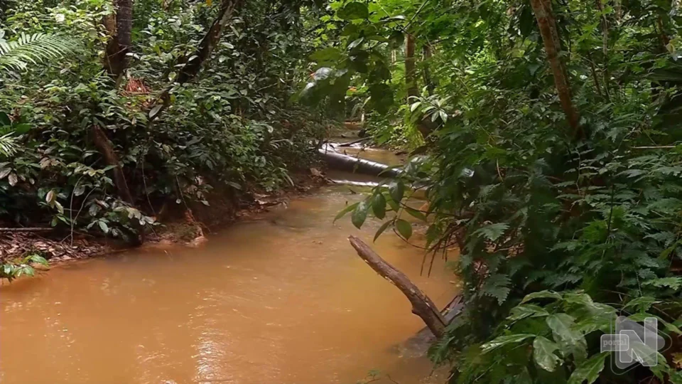 VÍDEO: projeto de monitoramento busca recuperar igarapés de Manaus