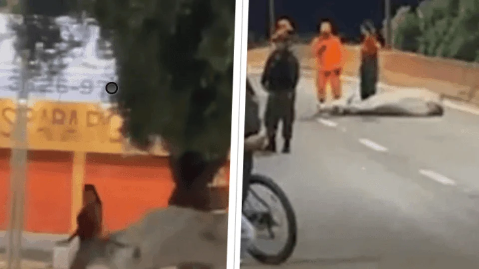 ‘Vaca Louca’: animal corre em avenida e ataca população em Boa Vista