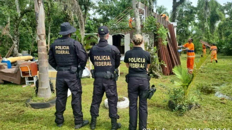 PF deflagra operação para combater crimes ambientais no PR