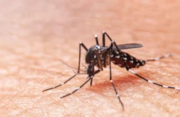 Semsa confirma morte de bebê de 2 anos por dengue em Manaus