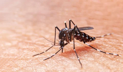 Semsa confirma morte de bebê de 2 anos por dengue em Manaus