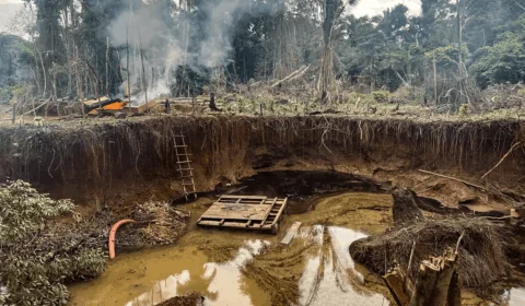 Garimpo ilegal: região do Amapá tem aumento de 304% em um ano
