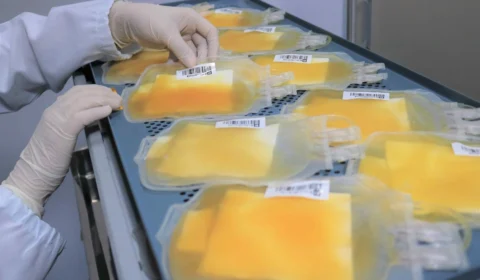 Plaquetas: veja requisitos e como doar em Manaus