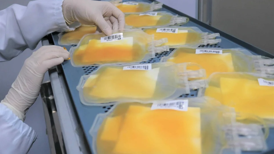 Plaquetas: veja requisitos e como doar em Manaus