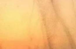 VÍDEO: nuvem de mosquitos aterroriza população na Índia