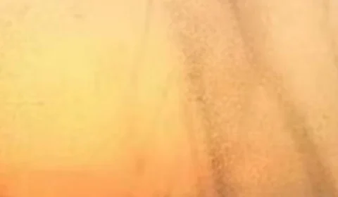 VÍDEO: nuvem de mosquitos aterroriza população na Índia