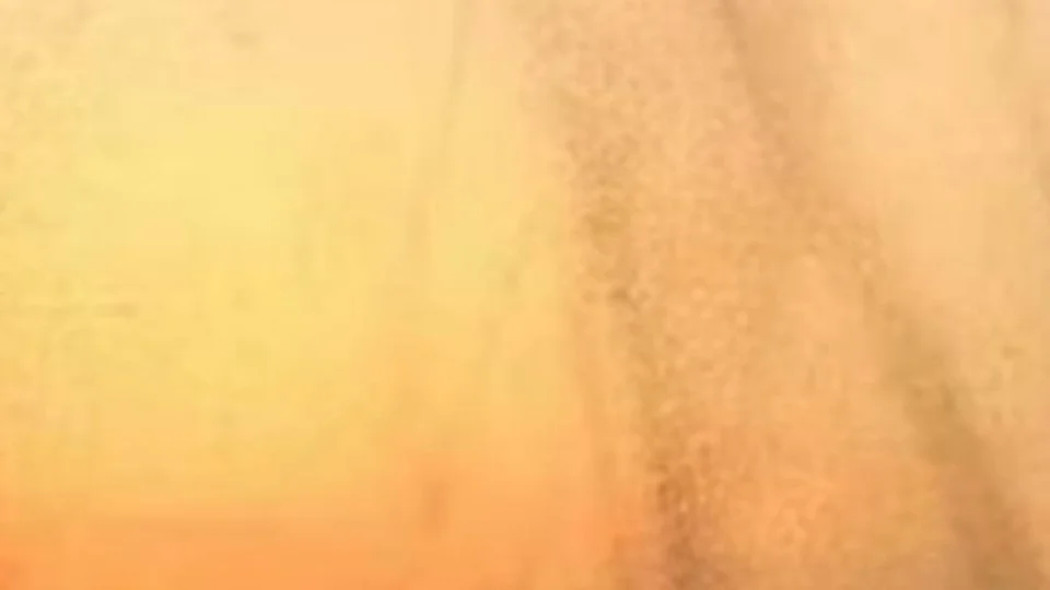 VÍDEO: nuvem de mosquitos aterroriza população na Índia