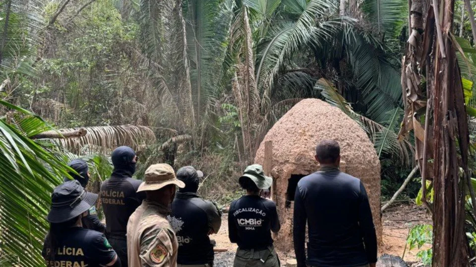 Operação Jacaúna combate crimes ambientais em RO; veja