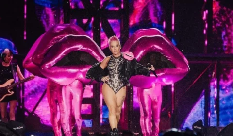 Pink interrompe show após mulher entrar em trabalho de parto no meio do público