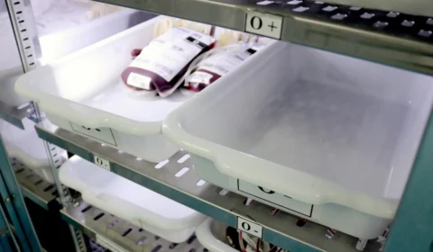 Dia Mundial do Doador de Sangue: veja o que é preciso para doar sangue