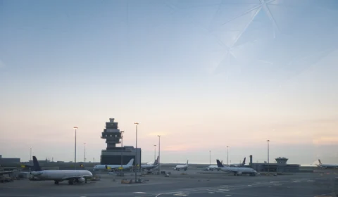 Rato ‘invade’ avião da SriLankan Airlines e atrasa vários voos