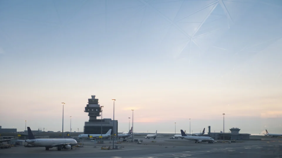 Rato ‘invade’ avião da SriLankan Airlines e atrasa vários voos