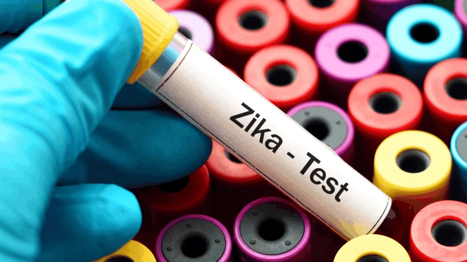 Chinkungunya e Zika: Norte tem 905 casos e 1 morte em investigação