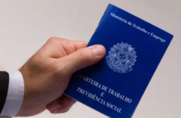 Taxa de desocupação cai no Tocantins em 2023, revelam dados do IBGE