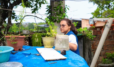 Manaus registra mais de 1.700 casos de dengue em 2024