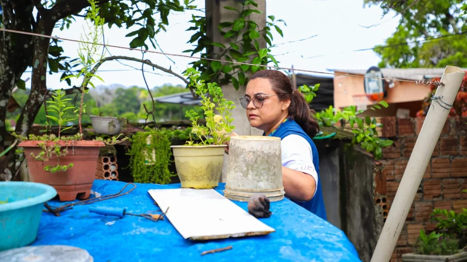 Manaus registra mais de 1.700 casos de dengue em 2024