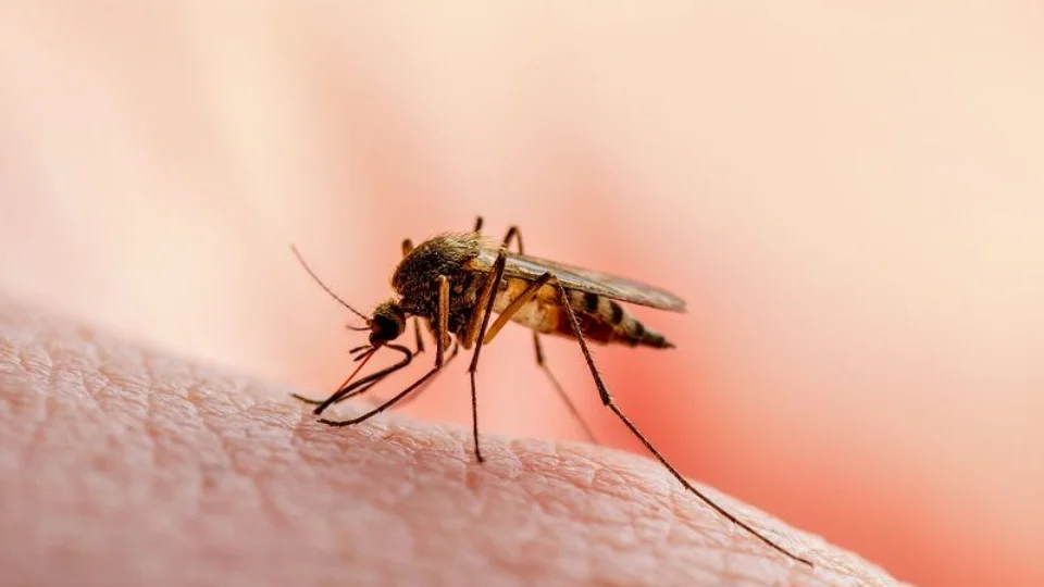 Manaus notifica mais de seis mil casos suspeitos de dengue em 2024