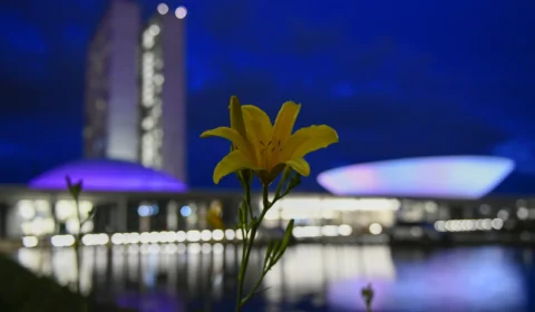 Senadores do Norte homenageiam as mulheres nas redes sociais