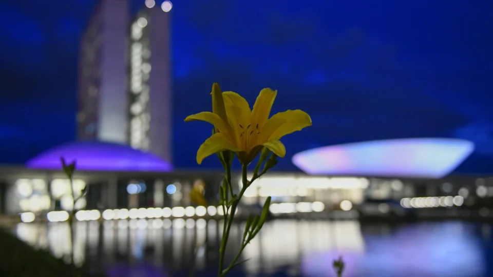 Senadores do Norte homenageiam as mulheres nas redes sociais