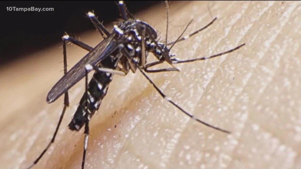 Dengue em Roraima: Sesau notifica 202 casos nos primeiros 15 dias de abril