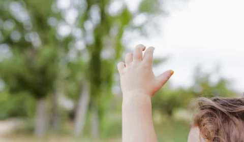 Menina de 3 anos assassinada em SC ‘morreu de tanto apanhar’