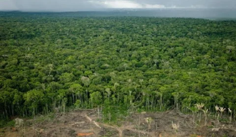 STF exige que União adote plano para conter desmatamento na Amazônia