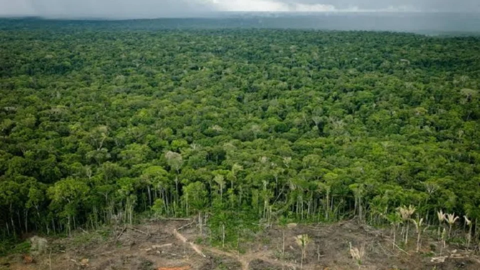 STF exige que União adote plano para conter desmatamento na Amazônia