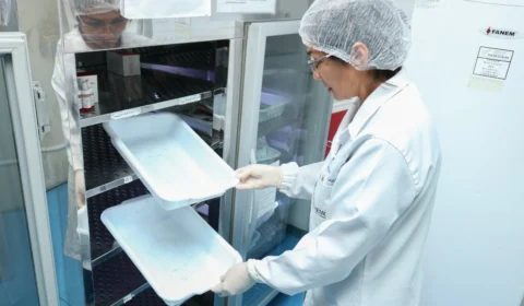 Hemoam identifica baixo estoque de sangue e alerta doadores no AM